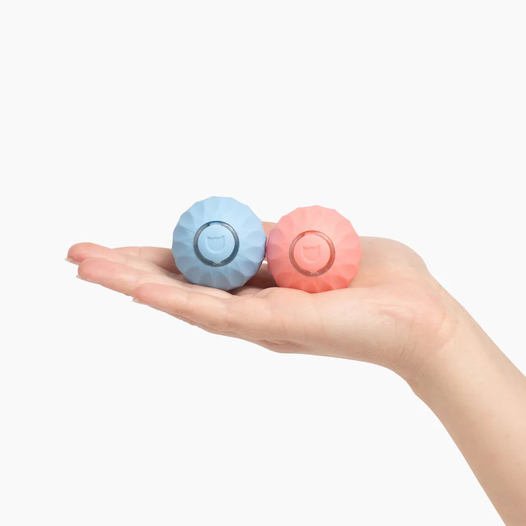 Sprungball – Das Abenteuer bei jedem Sprung