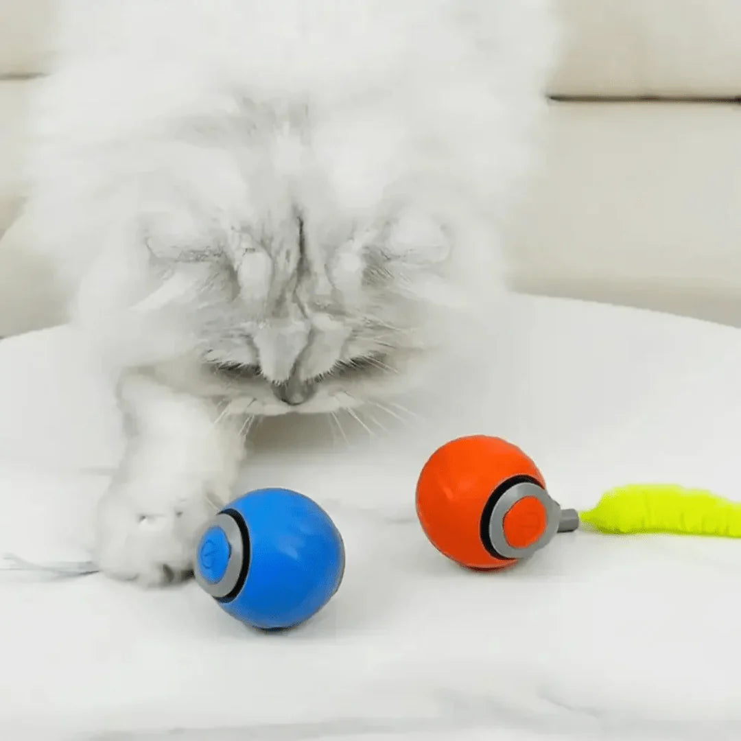 Intelligenter Ball