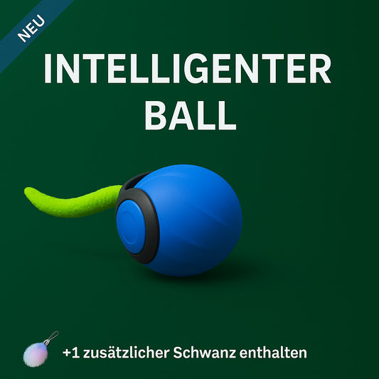 Intelligenter Ball
